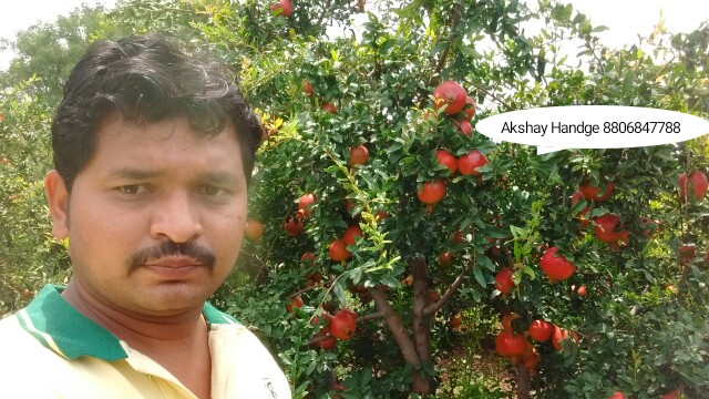 Green Planet Bio Products Nashik Mobile  shop Nashik